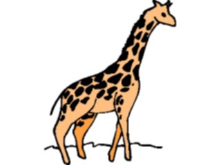 Sticker Custom Preview Image #024671 Animals Land Animals Giraffe08