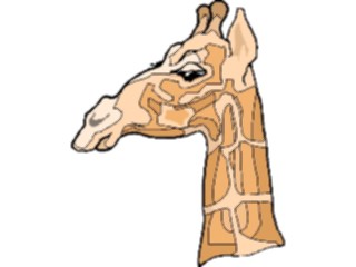 Sticker Custom Preview Image #024678 Animals Land Animals Giraffe15