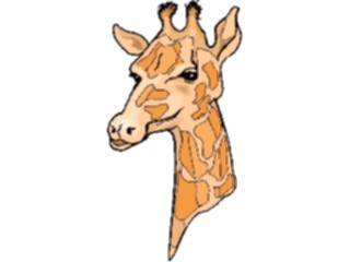 Sticker Custom Preview Image #024679 Animals Land Animals Giraffe16