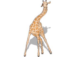 Sticker Custom Preview Image #024680 Animals Land Animals Giraffe17
