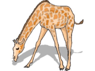 Sticker Custom Preview Image #024681 Animals Land Animals Giraffe18