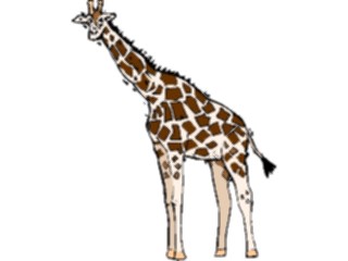 Sticker Custom Preview Image #024685 Animals Land Animals Giraffe22