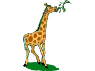 Sticker Custom Preview Image #024689 Animals Land Animals Giraffe Eating