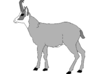 Sticker Custom Preview Image #024700 Animals Land Animals Goat01