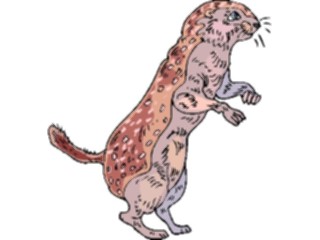 Sticker Custom Preview Image #024713 Animals Land Animals Gopher4