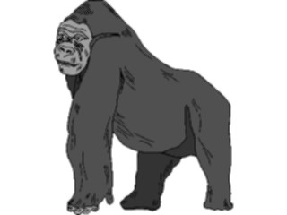 Sticker Custom Preview Image #024715 Animals Land Animals Gorilla1