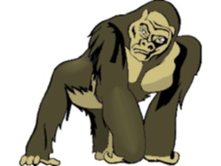 Sticker Custom Preview Image #024718 Animals Land Animals Gorilla4
