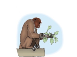 Sticker Custom Preview Image #024719 Animals Land Animals Gorilla5