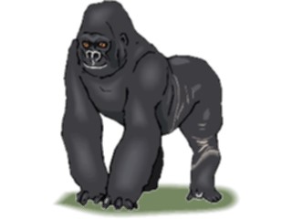 Sticker Custom Preview Image #024720 Animals Land Animals Gorilla6