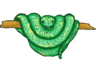 Sticker Custom Preview Image #024722 Animals Land Animals Green Tree Boa1