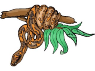 Sticker Custom Preview Image #024723 Animals Land Animals Green Tree Boa2