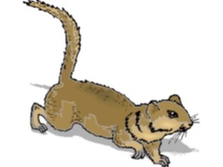 Sticker Custom Preview Image #024724 Animals Land Animals Ground Squirrel