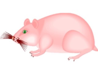 Sticker Custom Preview Image #024725 Animals Land Animals Hamster1