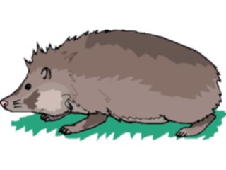 Sticker Custom Preview Image #024726 Animals Land Animals Hamster2