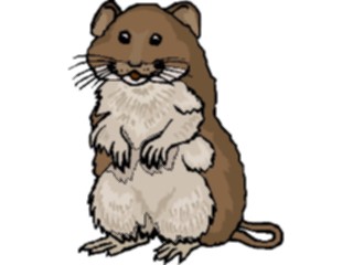 Sticker Custom Preview Image #024727 Animals Land Animals Hamster3