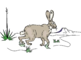 Sticker Custom Preview Image #024728 Animals Land Animals Hare1