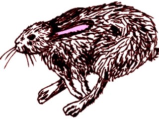 Sticker Custom Preview Image #024729 Animals Land Animals Hare2