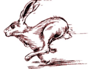 Sticker Custom Preview Image #024730 Animals Land Animals Hare3