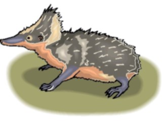 Sticker Custom Preview Image #024732 Animals Land Animals Hedgehog2