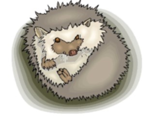Sticker Custom Preview Image #024733 Animals Land Animals Hedgehog3