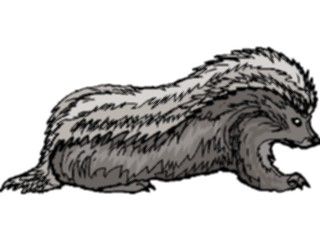 Sticker Custom Preview Image #024735 Animals Land Animals Hedgehog5