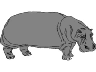 Sticker Custom Preview Image #024736 Animals Land Animals Hippo01