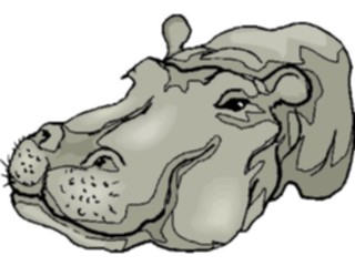 Sticker Custom Preview Image #024744 Animals Land Animals Hippo09