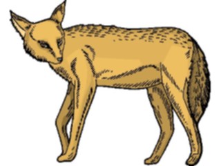 Sticker Custom Preview Image #024754 Animals Land Animals Hyena5