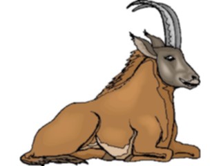 Sticker Custom Preview Image #024758 Animals Land Animals Ibex2