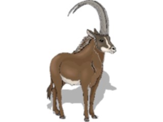 Sticker Custom Preview Image #024760 Animals Land Animals Ibex4