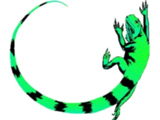Sticker Custom Preview Image #024761 Animals Land Animals Iguana1