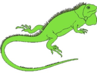 Sticker Custom Preview Image #024762 Animals Land Animals Iguana2