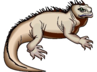 Sticker Custom Preview Image #024764 Animals Land Animals Iguana4