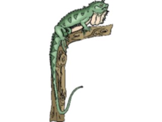 Sticker Custom Preview Image #024765 Animals Land Animals Iguana5