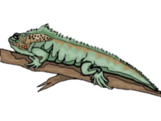 Sticker Custom Preview Image #024766 Animals Land Animals Iguana6