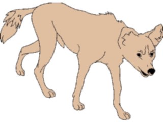 Sticker Custom Preview Image #024769 Animals Land Animals Jackal1