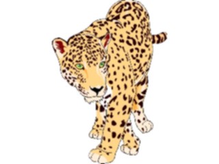 Sticker Custom Preview Image #024772 Animals Land Animals Jaguar2