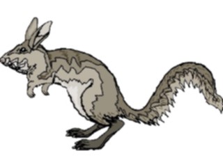 Sticker Custom Preview Image #024776 Animals Land Animals Jerboa3