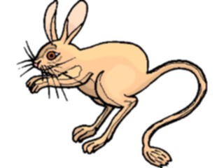 Sticker Custom Preview Image #024777 Animals Land Animals Jerboa4