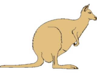 Sticker Custom Preview Image #024781 Animals Land Animals Kangaroo02