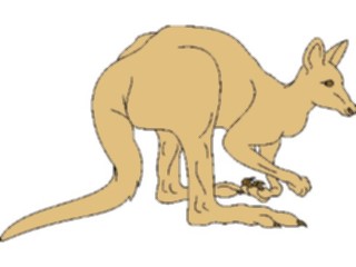 Sticker Custom Preview Image #024783 Animals Land Animals Kangaroo04