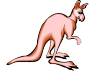 Sticker Custom Preview Image #024786 Animals Land Animals Kangaroo07