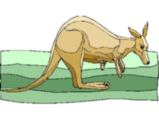 Sticker Custom Preview Image #024788 Animals Land Animals Kangaroo09
