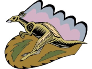 Sticker Custom Preview Image #024789 Animals Land Animals Kangaroo10