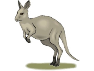 Sticker Custom Preview Image #024792 Animals Land Animals Kangaroo13