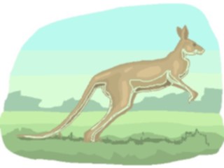 Sticker Custom Preview Image #024793 Animals Land Animals Kangaroo14