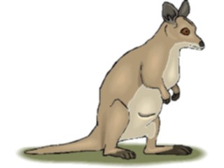 Sticker Custom Preview Image #024794 Animals Land Animals Kangaroo15