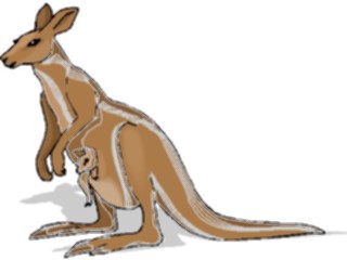 Sticker Custom Preview Image #024799 Animals Land Animals Kangaroo Baby