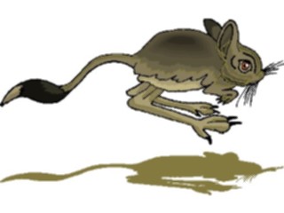 Sticker Custom Preview Image #024802 Animals Land Animals Kangaroo Rat2