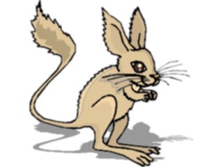 Sticker Custom Preview Image #024803 Animals Land Animals Kangaroo Rat3